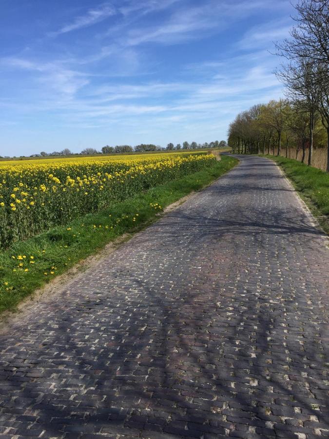 Ferienwohnung Ausguck Jever Buitenkant foto